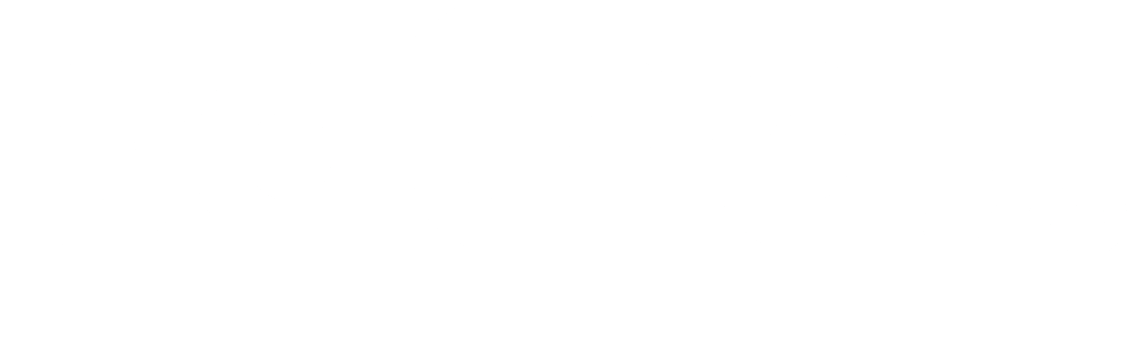Patna Pro